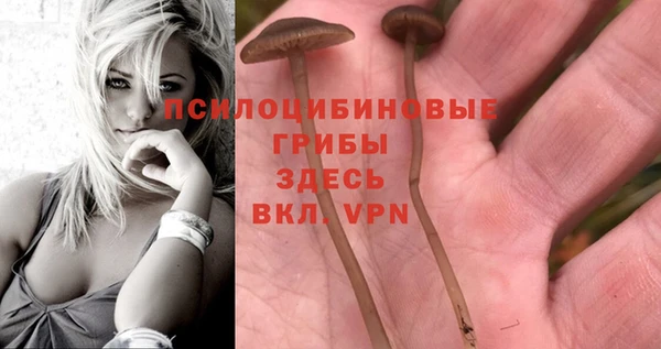 кокаин колумбия Коряжма
