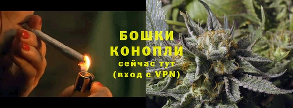 круглые Корсаков