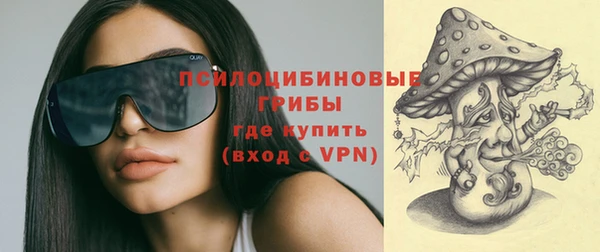 круглые Корсаков