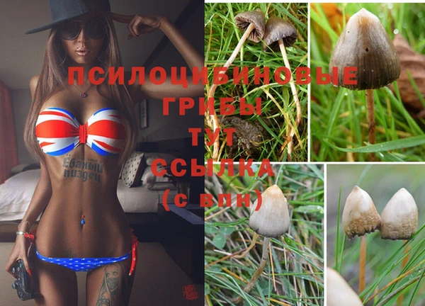 мескалин Кодинск