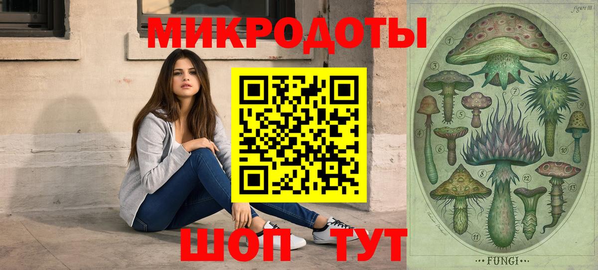 Галлюциногенные грибы Psilocybe  Вход с VPN  Кольчугино 