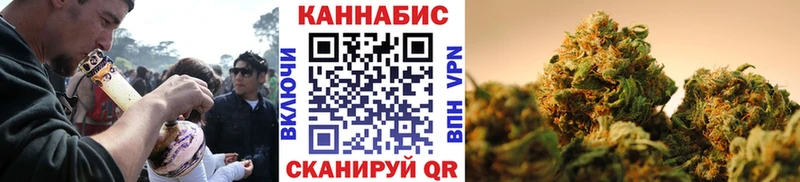 Конопля гибрид Кольчугино